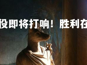 28圈官网-关键战役即将打响！胜利在望还是泡沫破灭？