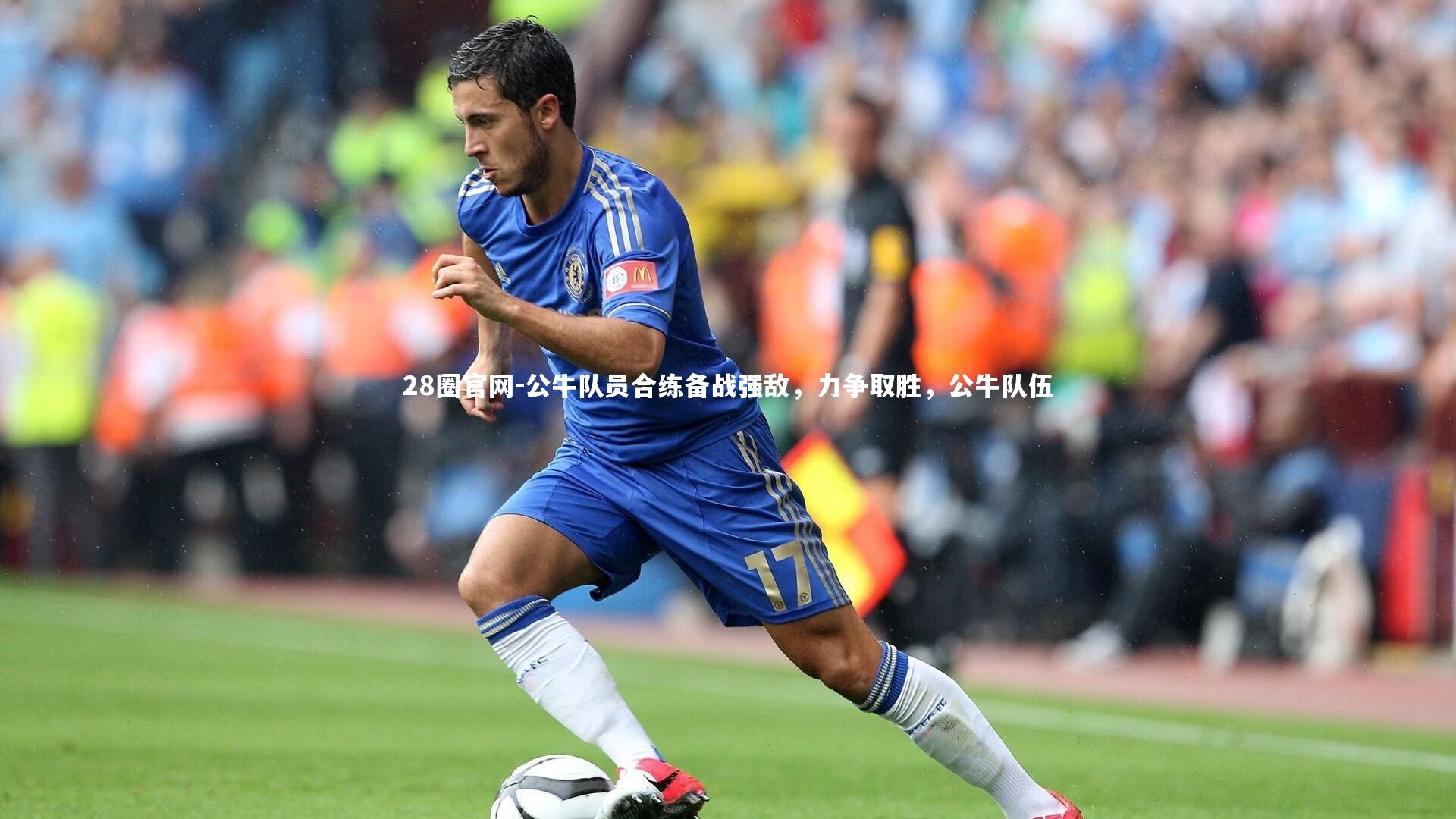 公牛队员合练备战强敌，力争取胜，公牛队伍